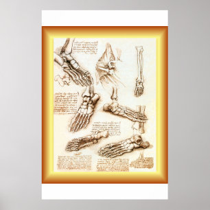 Poster Leonardo da Vinci ~ Anatomie des pieds ~ 40 X 60 G