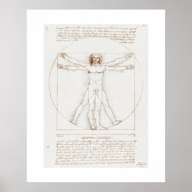 POSTER : LEONARDO DA VINCI : VITRUVIAN MAN (Devant)