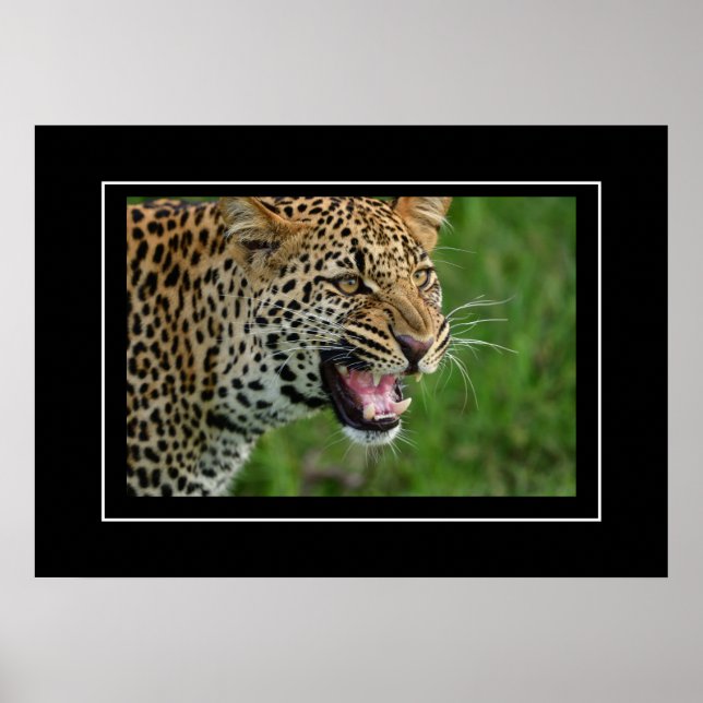 Poster Leopard (Vorne)