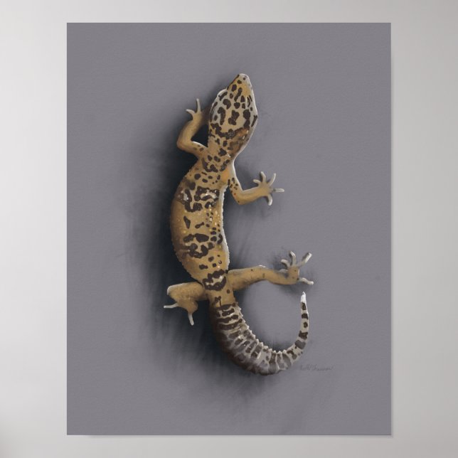Poster Léopard de gecko (Devant)
