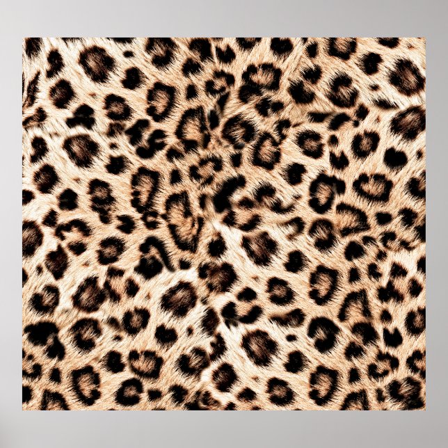 Poster Leopard Design Motif : Wild Elegance. (Devant)