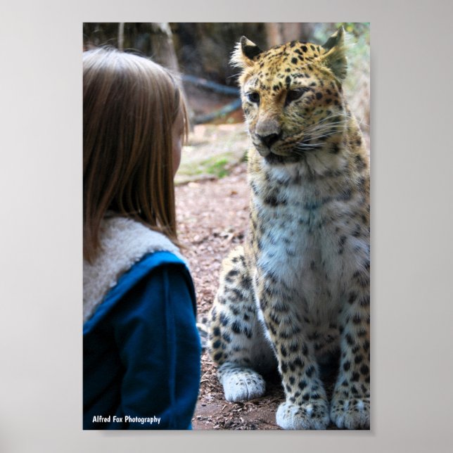 Poster Léopard et Enfant (Devant)