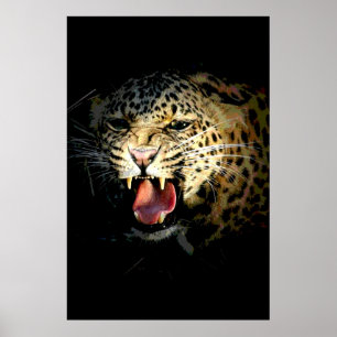 Poster Leopard Imprimer - Image animalière