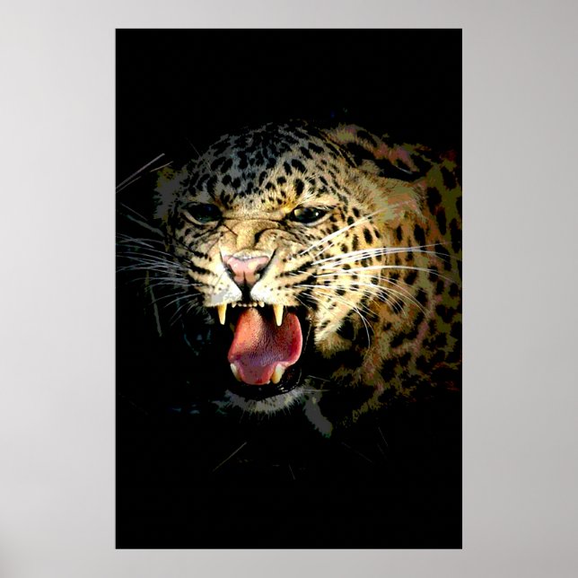 Poster Leopard Imprimer - Image animalière (Devant)