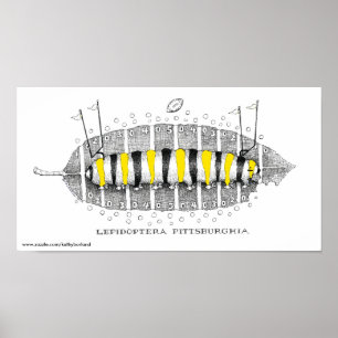 Poster Lepidoptera Pittsburghia-Zazzle, www.zazzle.com...