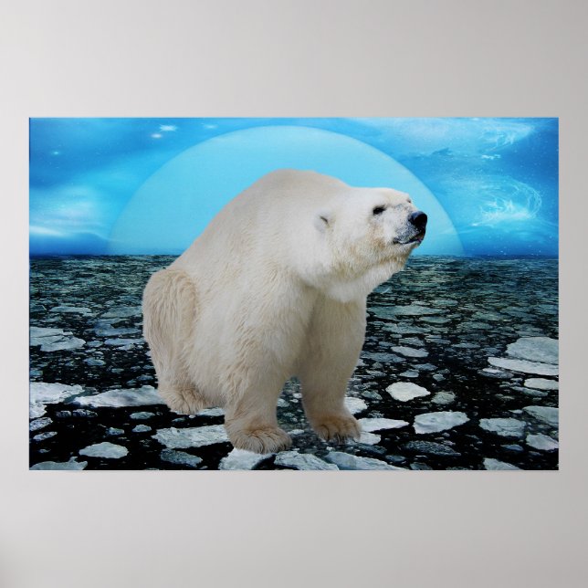 Poster L'époque des ours polaires (Devant)