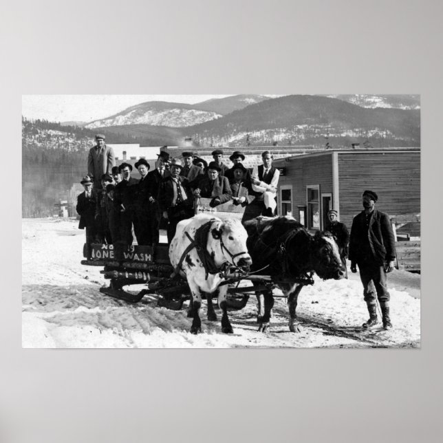Poster L'équipe de vache tire les hommes dans un escargot (Devant)