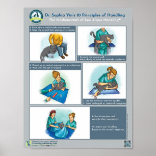 Poster Les 10 principes de la manipulation des chats du D