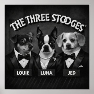 Poster "Les 2 Dooges"