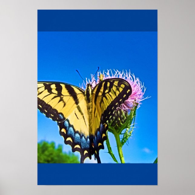 Poster Les ailes de l'amour (Devant)