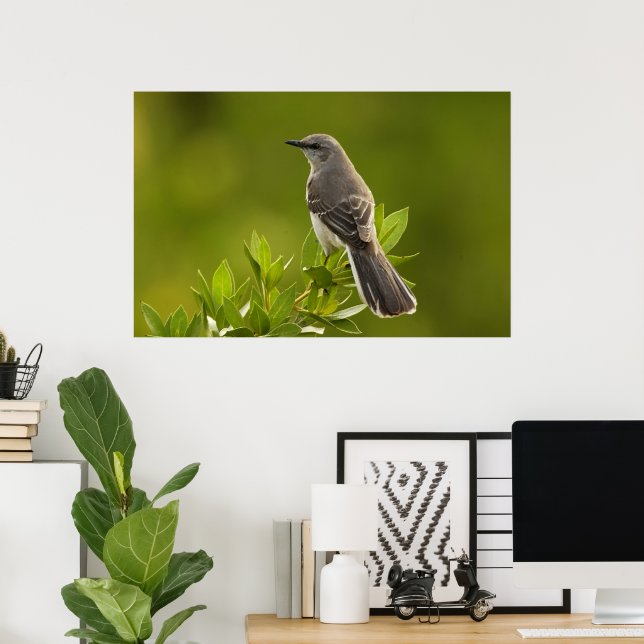 Poster Les amateurs d'oiseaux de Mockingbird (Bureau à domicile)
