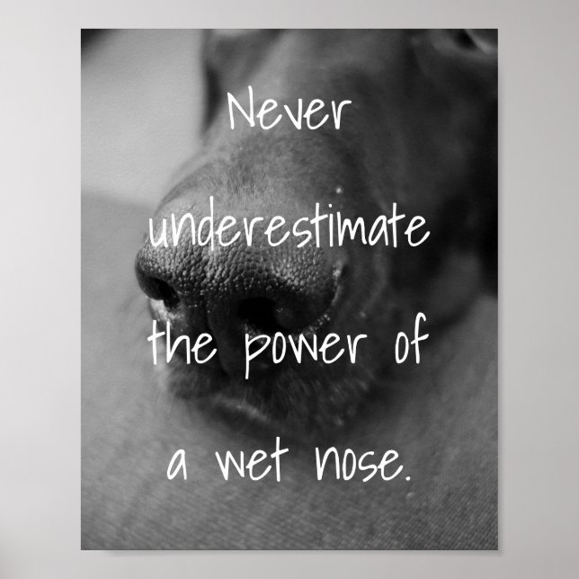 Poster Les amoureux de les chiens citent la puissance d'u (Devant)