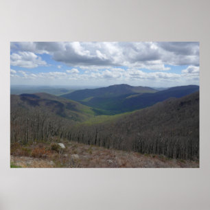 Poster Les Appalaches au printemps