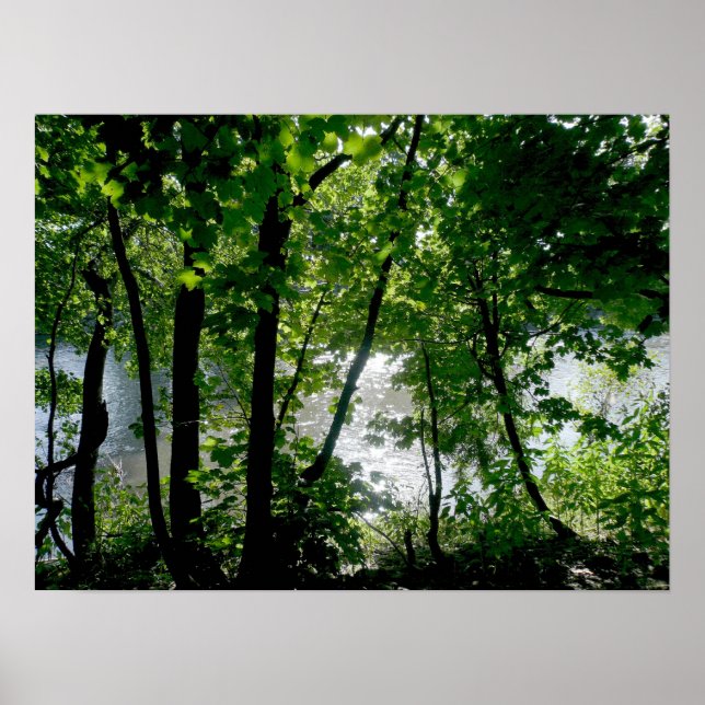 Poster Les arbres au bord de la rivière (Devant)