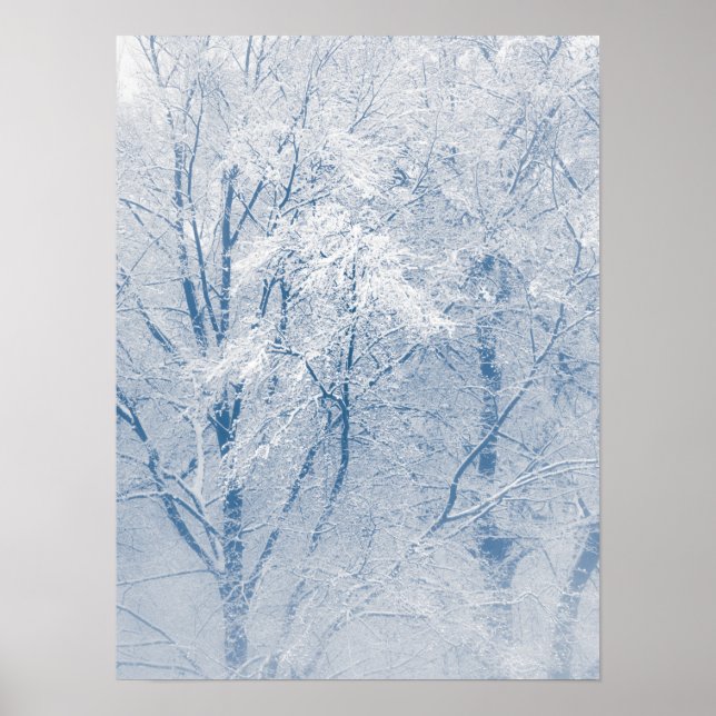 Poster Les arbres couverts de neige La nature hivernale P (Devant)