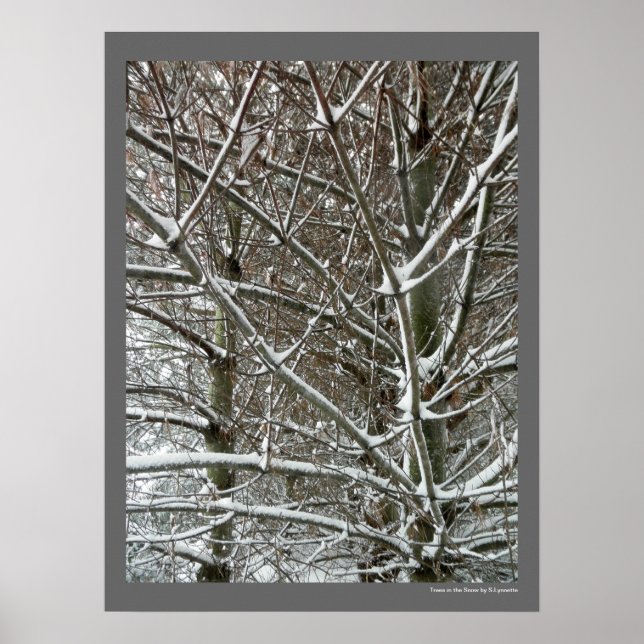 Poster Les arbres dans la neige photo hiver (Devant)