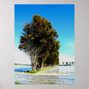 Poster Les arbres dans un paysage de Jersey
