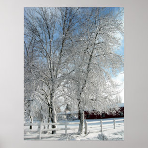 Poster Les arbres d'hiver