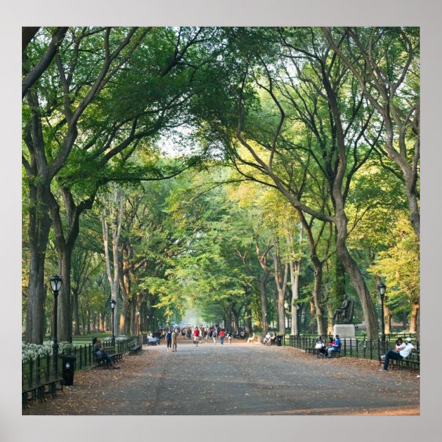 Poster Les arbres du centre commercial (Devant)