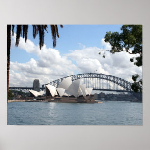 Poster les arbres du port de sydney