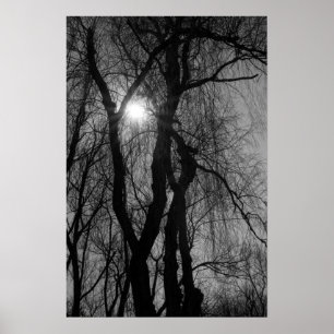 Poster Les arbres en silhouette Sun rayonne noir et blanc