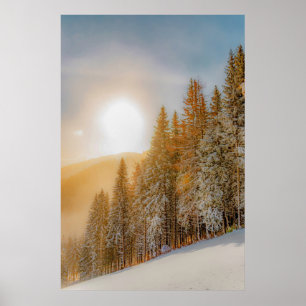 Poster Les arbres forestiers d'hiver #17