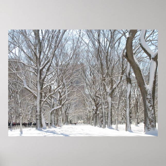 Poster Les arbres neigeux à Central Park (Devant)