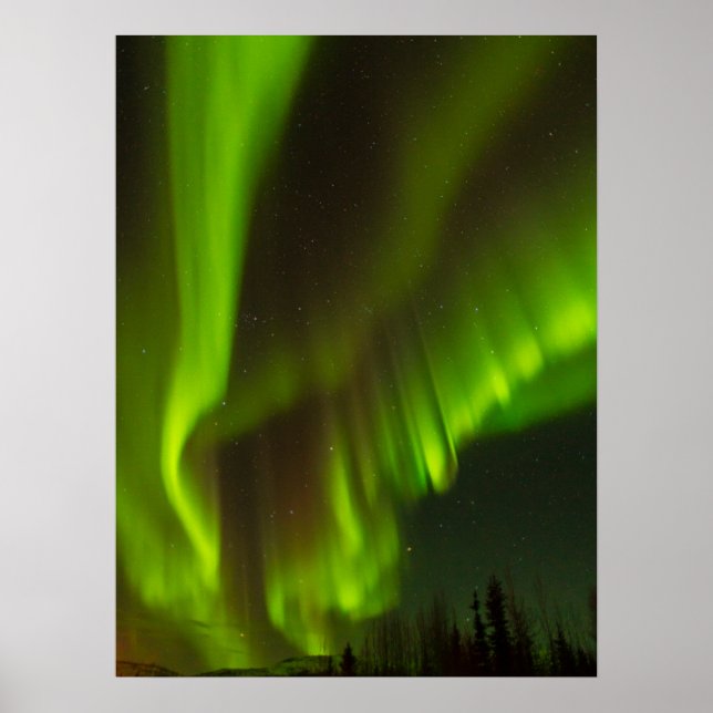 Poster Les aurores boréales | Fairbanks, Alaska (Devant)