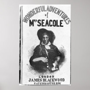 Poster Les aventures merveilleuses de Mme Seacole'