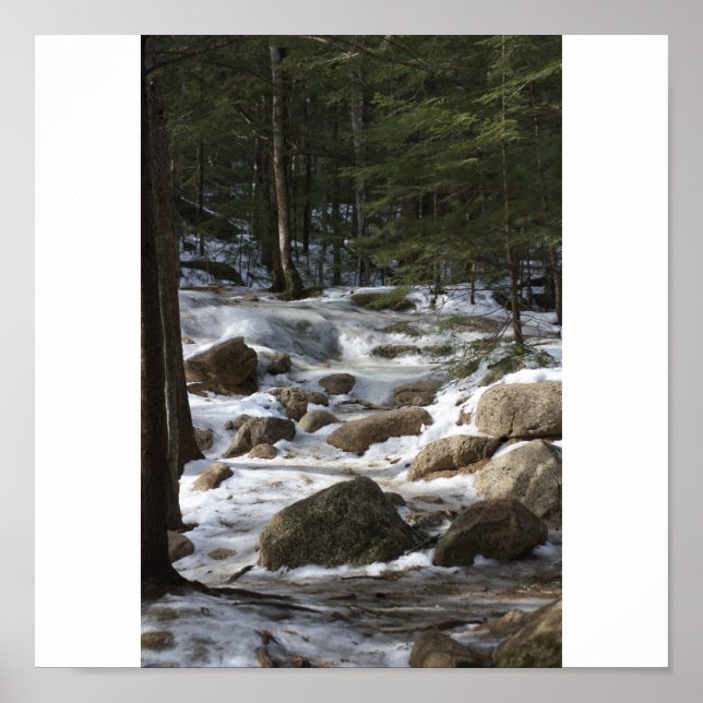 Poster Les bains de Diana (Devant)