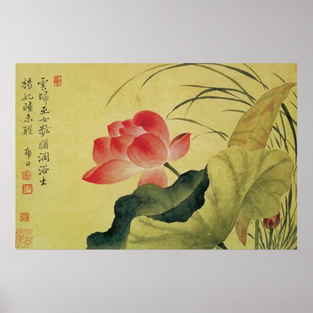Poster Les Beaux Arts Chinois Fleurs Lotus (Devant)