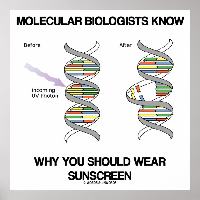 Poster Les Biologistes Moléculaires Savent Pourquoi Vous  (Devant)