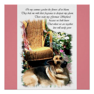Poster Les cadeaux d'amour des bergers allemands