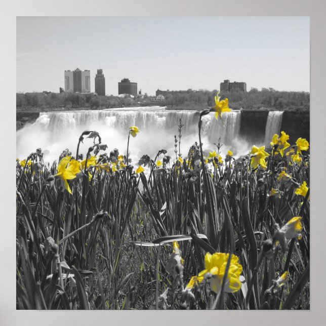 Poster Les cascades (Devant)