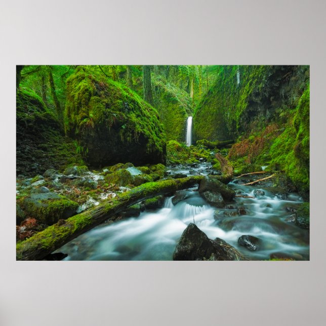 Poster Les cascades | Grotto Falls, Oregon (Devant)