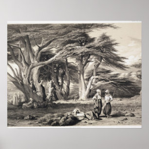 Poster Les Cèdres du Liban, gravés par Freeman (sépia