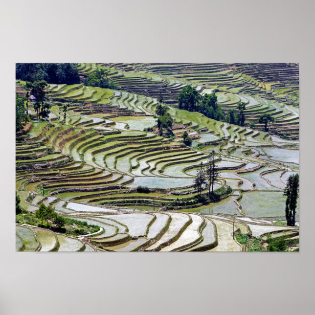 Poster Les célèbres terrasses de riz yuanyang - Yunnan, C (Devant)
