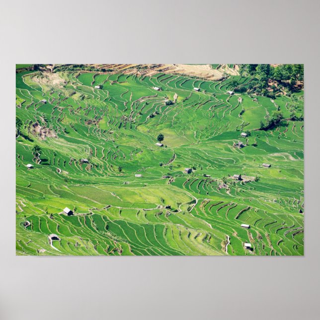 Poster Les célèbres terrasses de riz yuanyang - Yunnan, C (Devant)