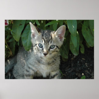 Poster Les cerfs-volants sont mignons