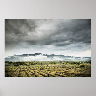 Poster Les Champs Agricoles Ruraux Sous Ciel Nuageux