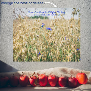 Poster Les champs d'été ensoleillés