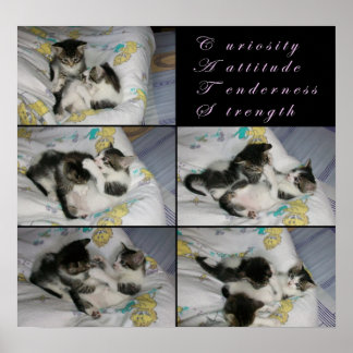 Poster Les chatons en jeu