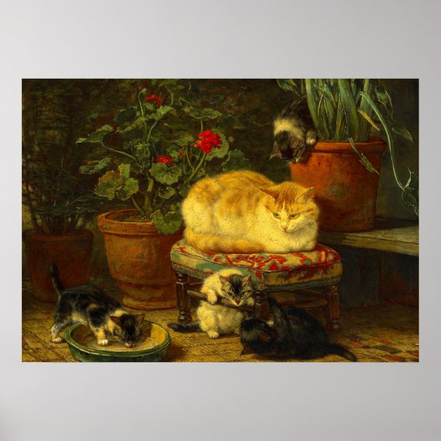 Poster Les chatons en jeu (Devant)