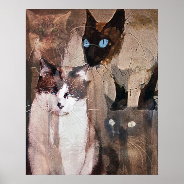 Poster Les chats (Devant)