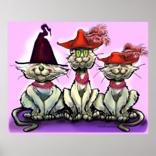Poster Les chats en Casquette amusant