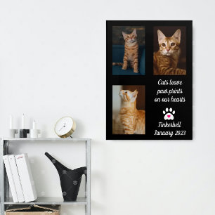 Poster Les chats laissent des empreintes   Collage de pho