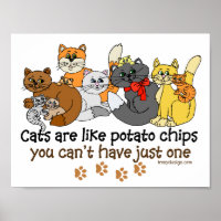 Les chats sont comme des chips