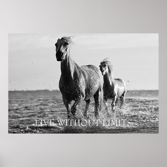 Poster Les Chevaux Motivationnels Vivent Sans Limites (Devant)