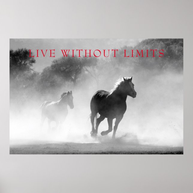 Poster Les Chevaux Motivationnels Vivent Sans Limites (Devant)