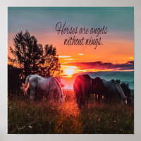 Les chevaux sont des anges sans ailes